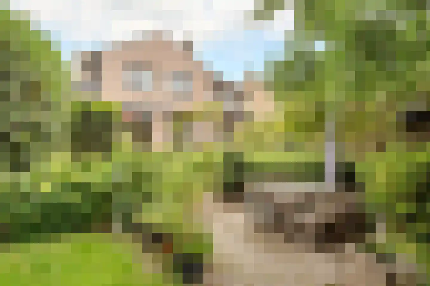 Locht 83 Veldhoven thumbnail 25