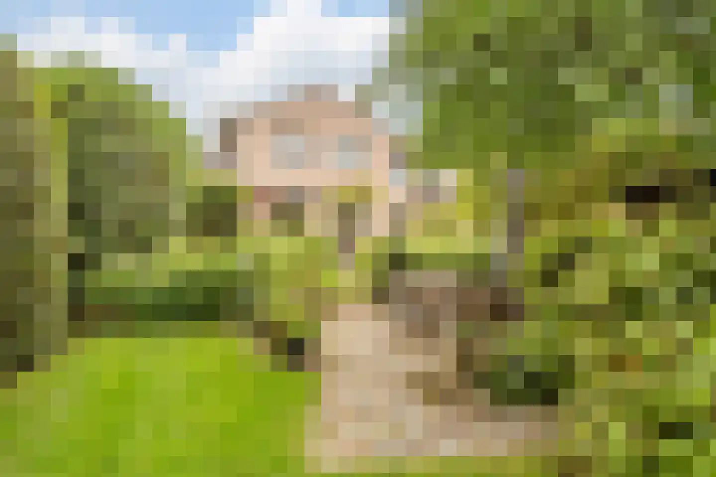 Locht 83 Veldhoven thumbnail 26