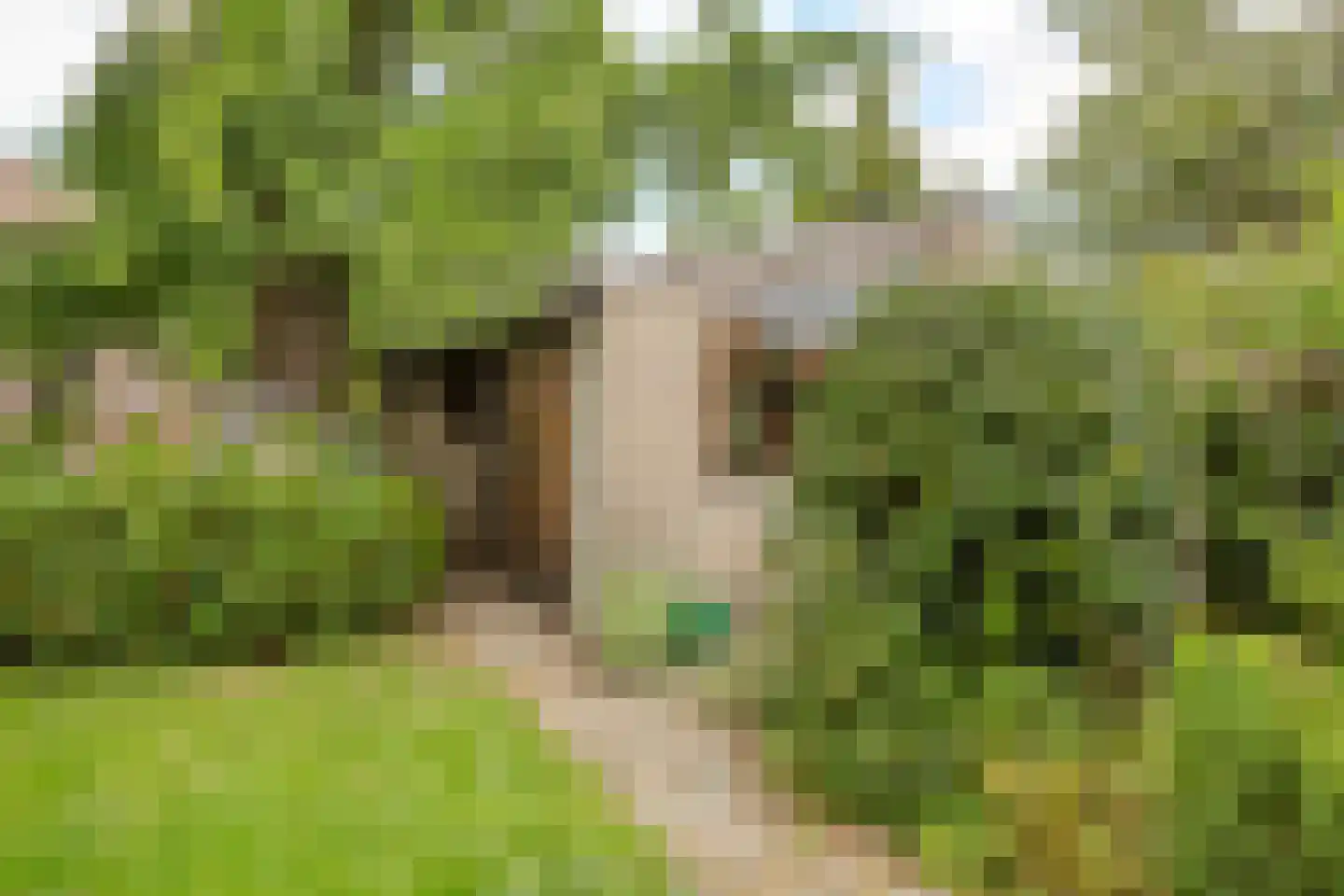 Locht 83 Veldhoven thumbnail 27