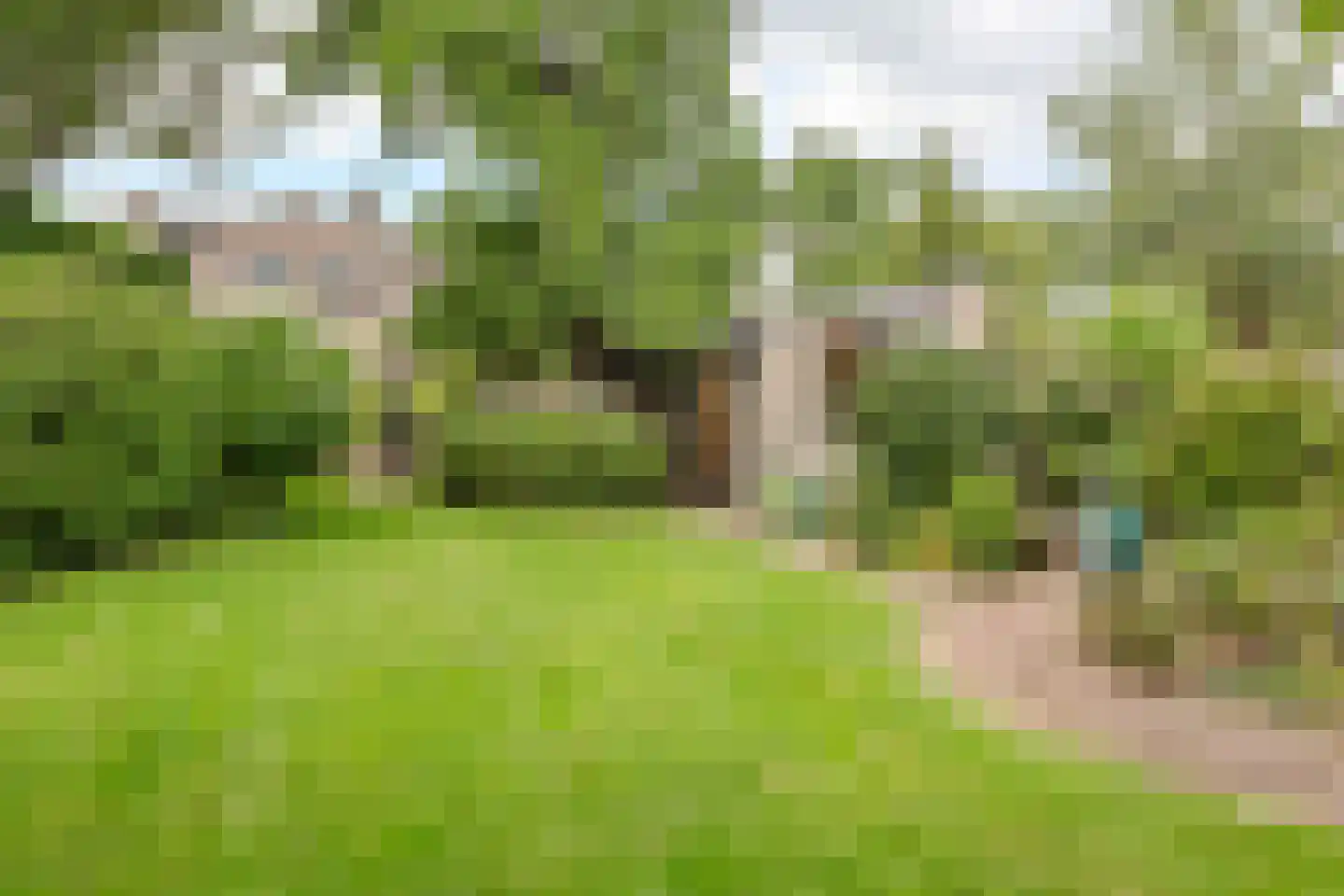 Locht 83 Veldhoven thumbnail 29