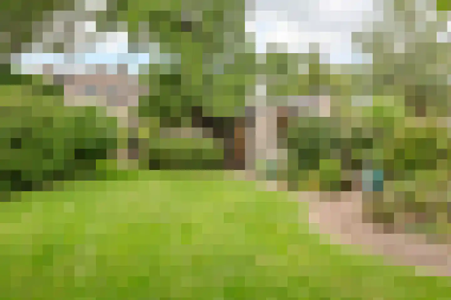 Locht 83 Veldhoven thumbnail 29
