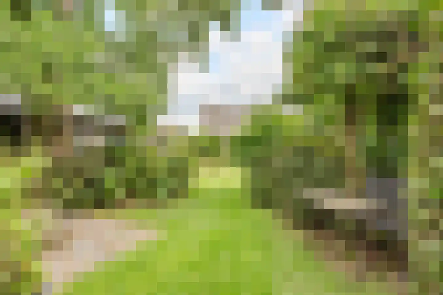 Locht 83 Veldhoven thumbnail 30