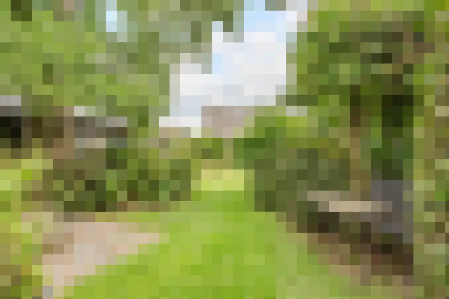 Locht 83 Veldhoven thumbnail 30