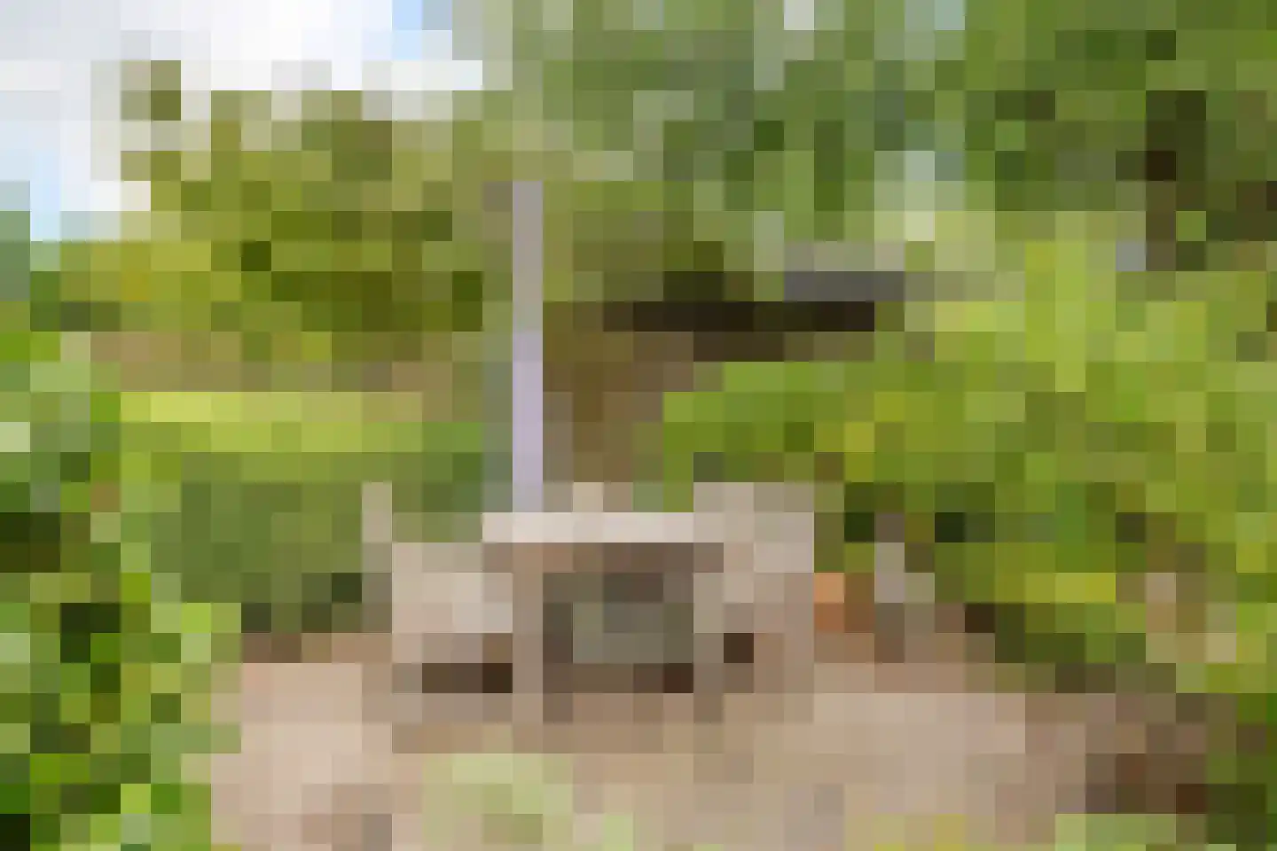 Locht 83 Veldhoven thumbnail 31