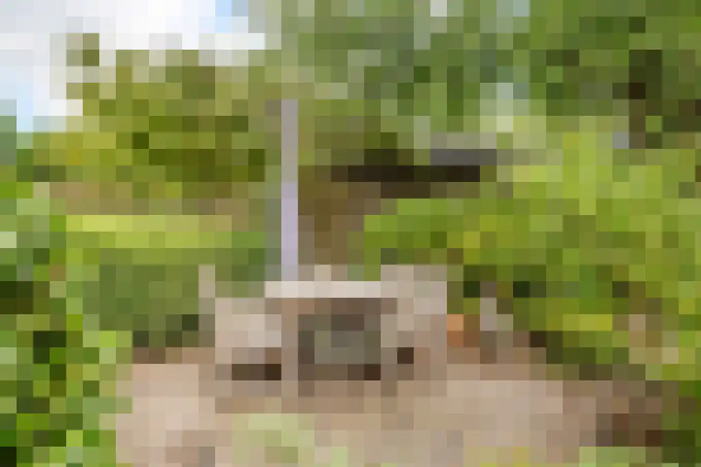 Locht 83 Veldhoven thumbnail 31