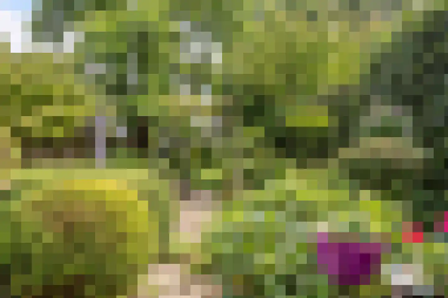 Locht 83 Veldhoven thumbnail 32