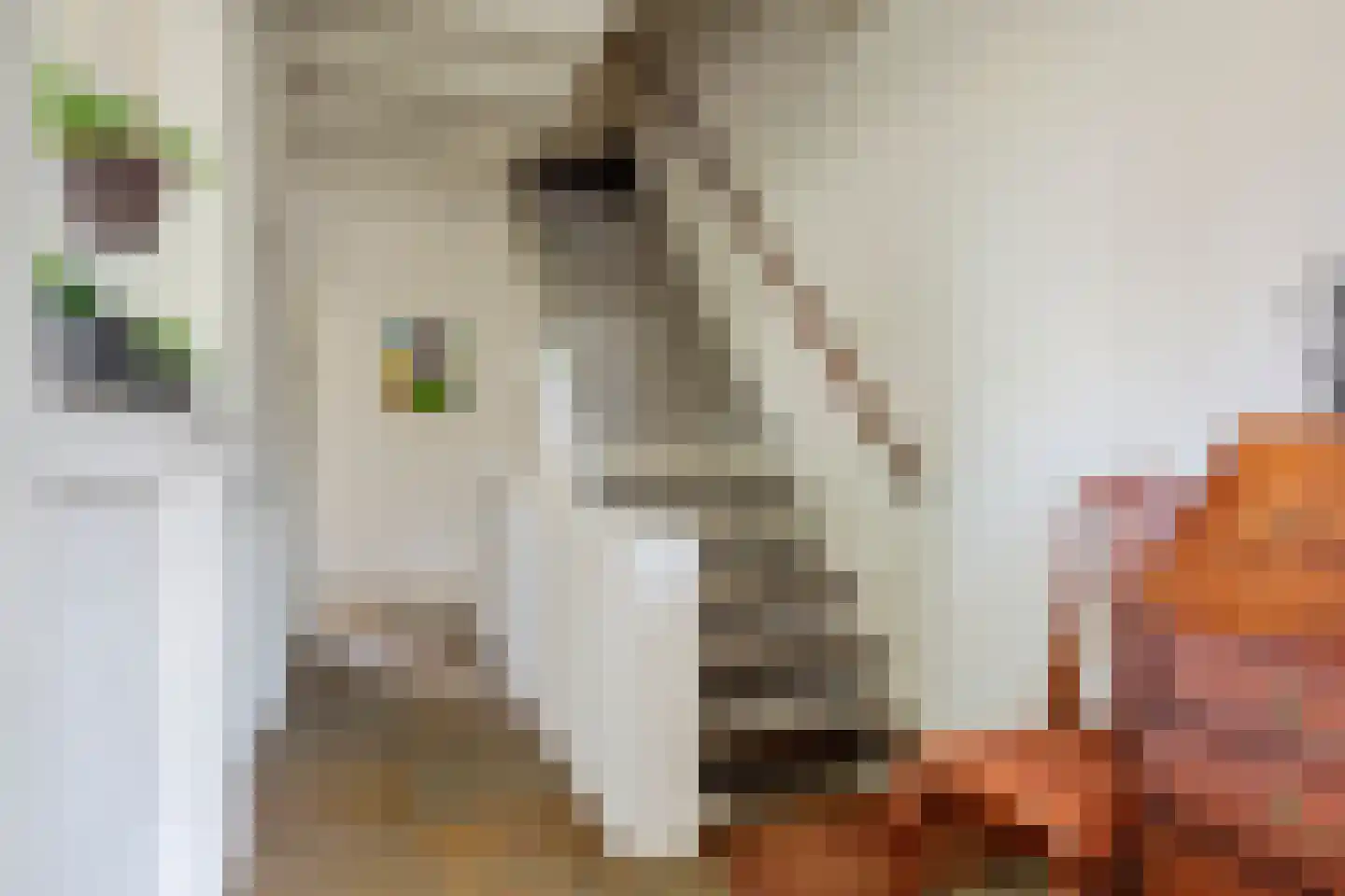 Locht 83 Veldhoven thumbnail 8