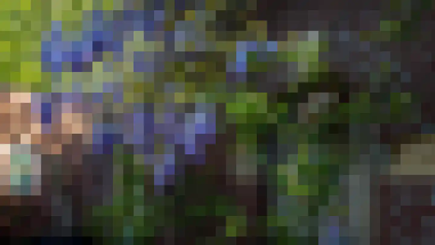 Locht 93 Kerkrade thumbnail 44