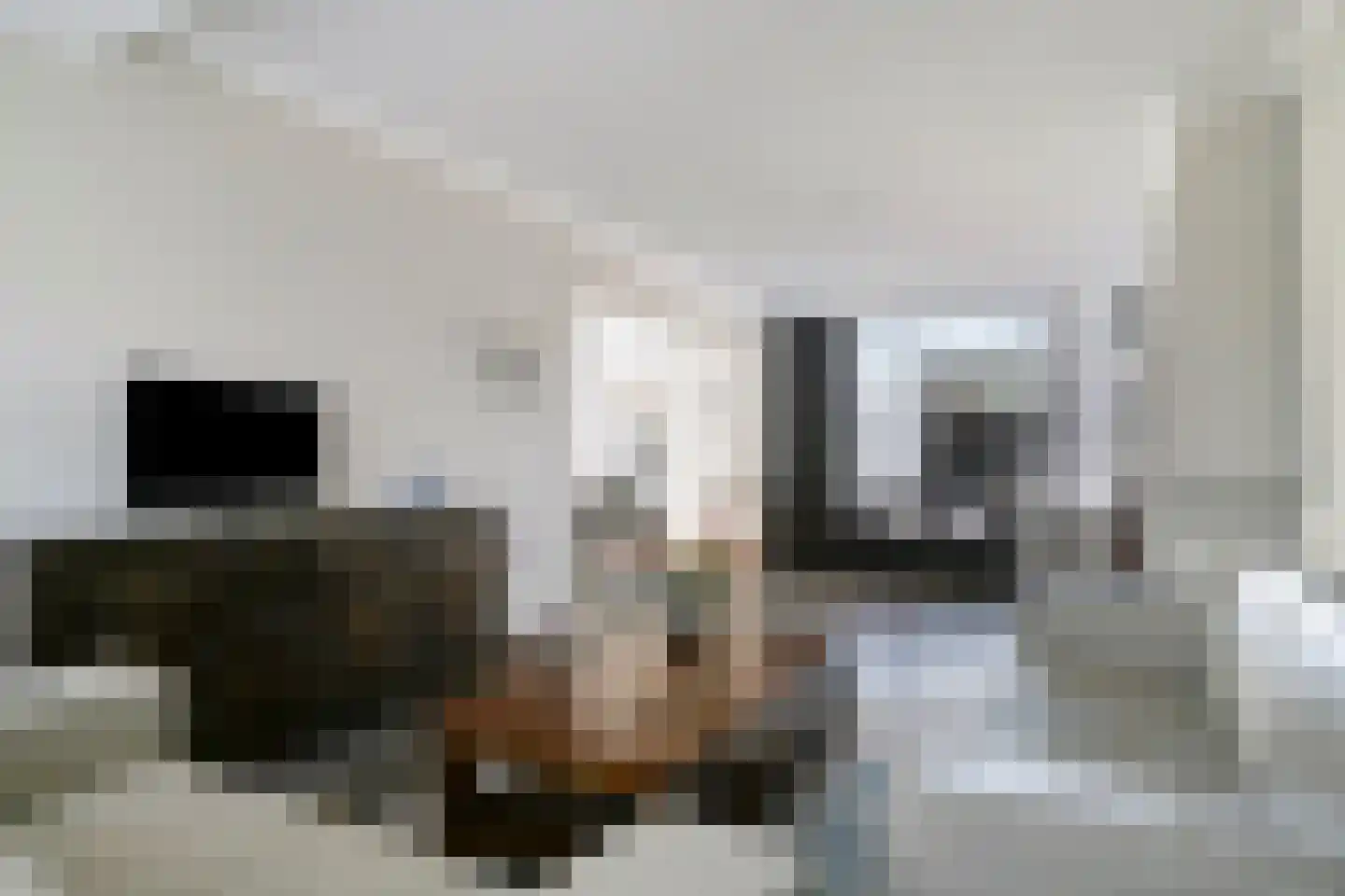 Lochtenberg 13 Esch thumbnail 12