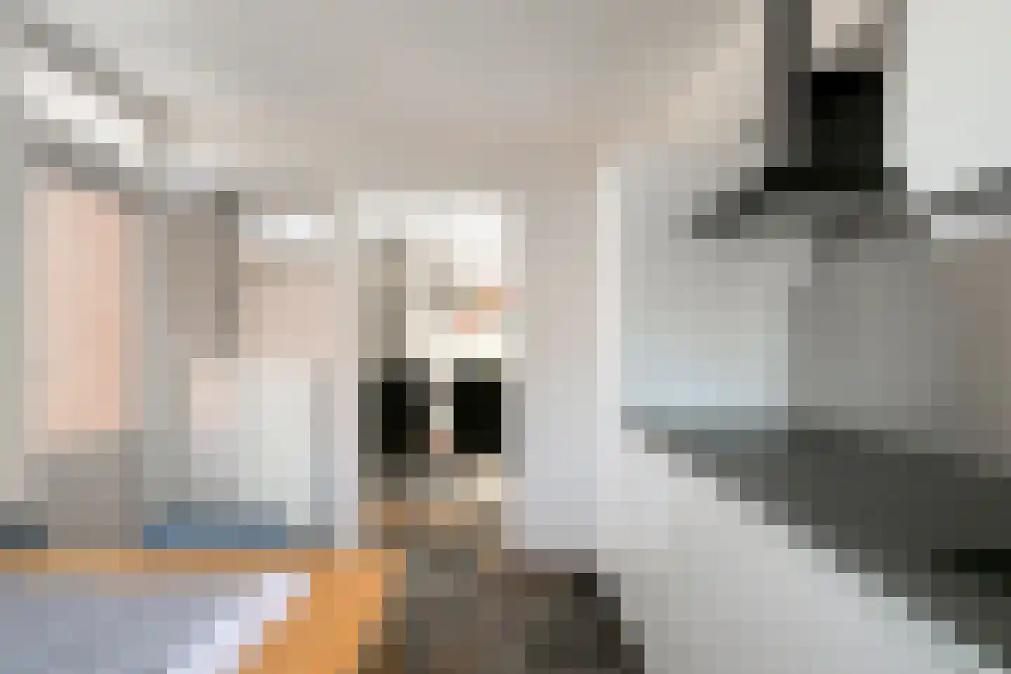 Lochtenberg 13 Esch thumbnail 17