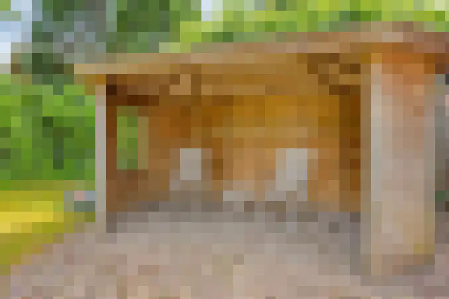 Lochtenberg 4 Esch thumbnail 33