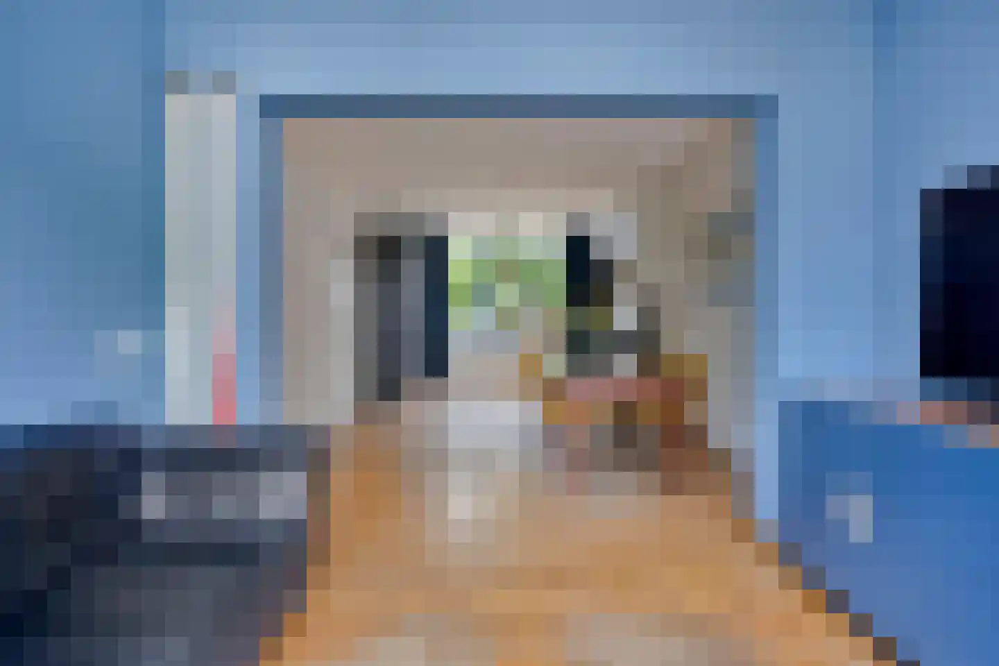 Lochtenberg 4 Esch thumbnail 8