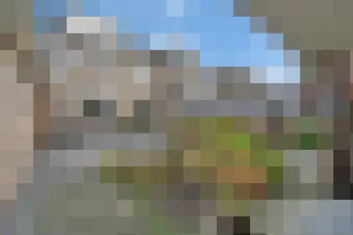 Lochtersweg 10 Nijverdal thumbnail 22