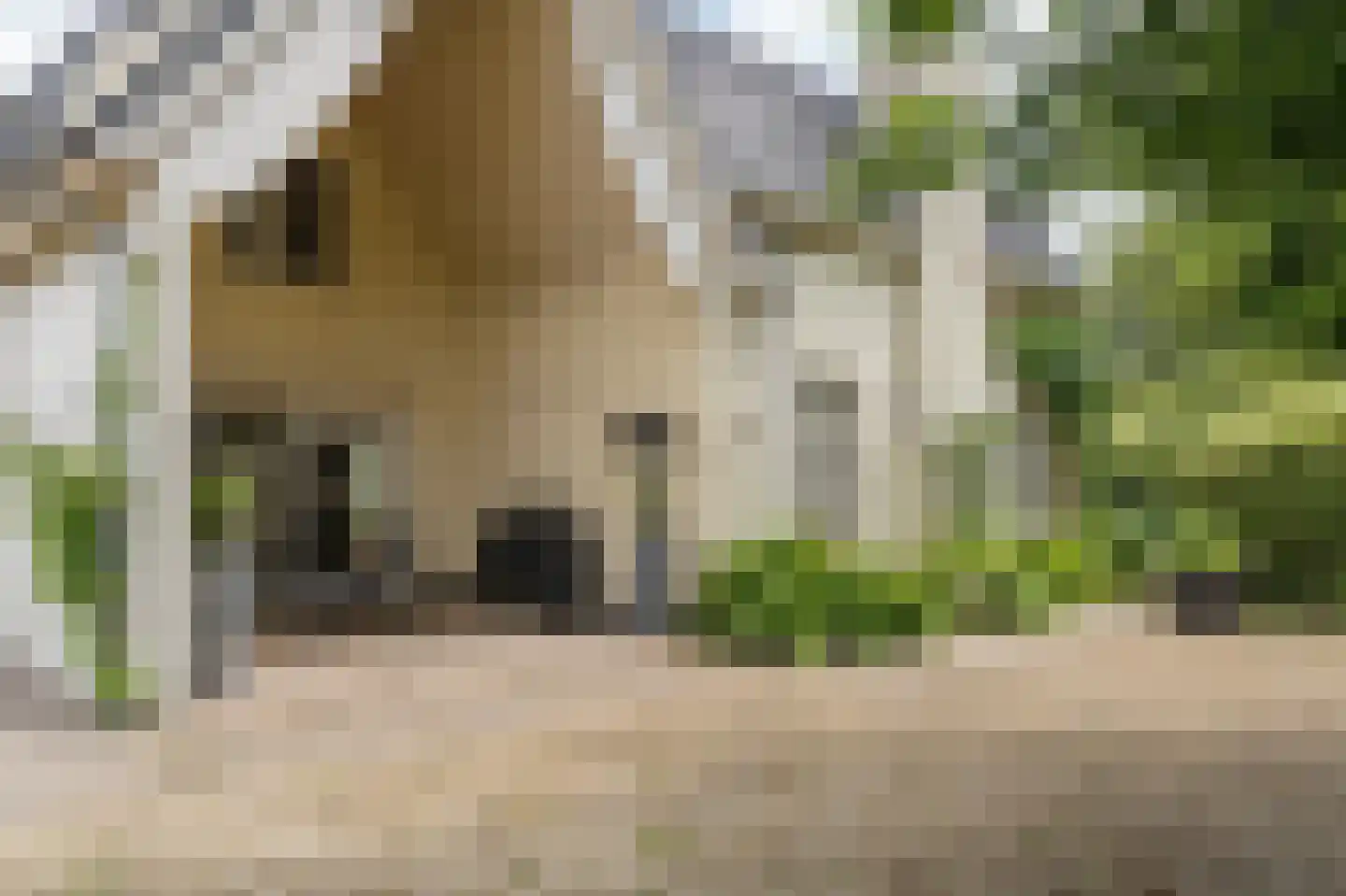 Lochterweg 154 Budel-Schoot thumbnail 4