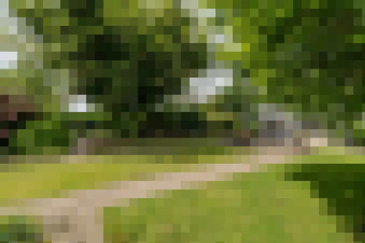 Lochterweg 154 Budel-Schoot thumbnail 53