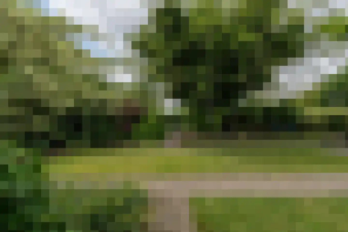 Lochterweg 154 Budel-Schoot thumbnail 54