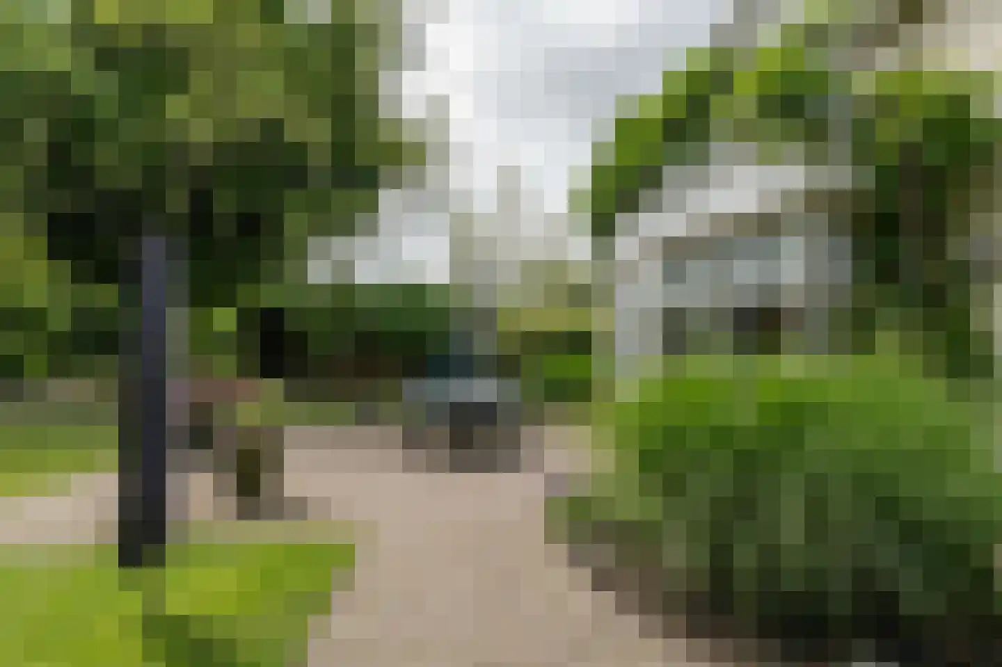 Lochterweg 154 Budel-Schoot thumbnail 56