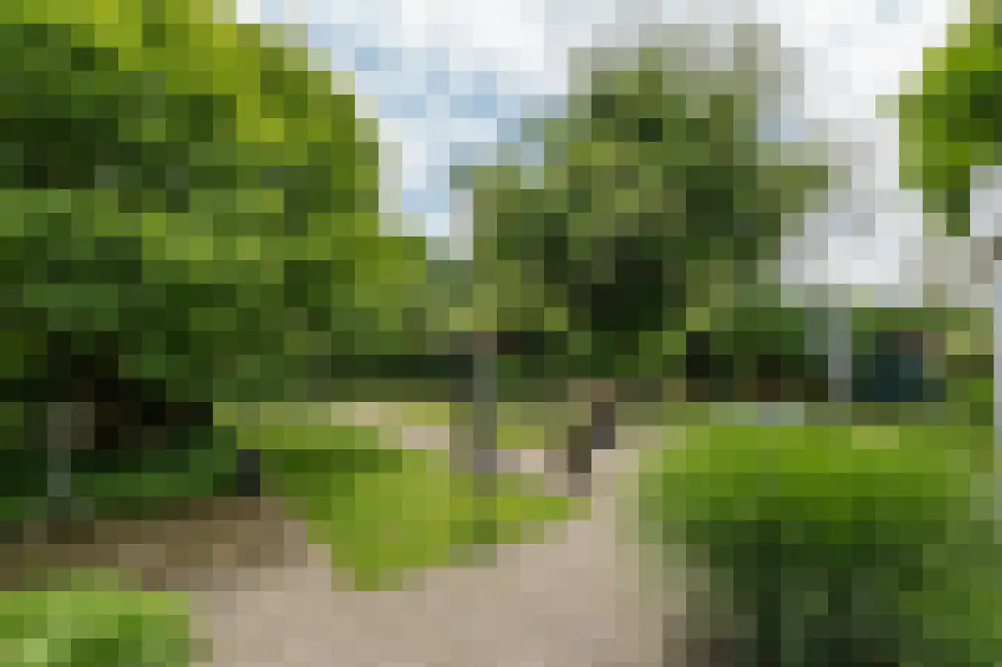 Lochterweg 154 Budel-Schoot thumbnail 57