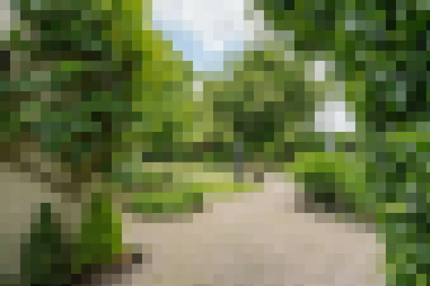 Lochterweg 154 Budel-Schoot thumbnail 59