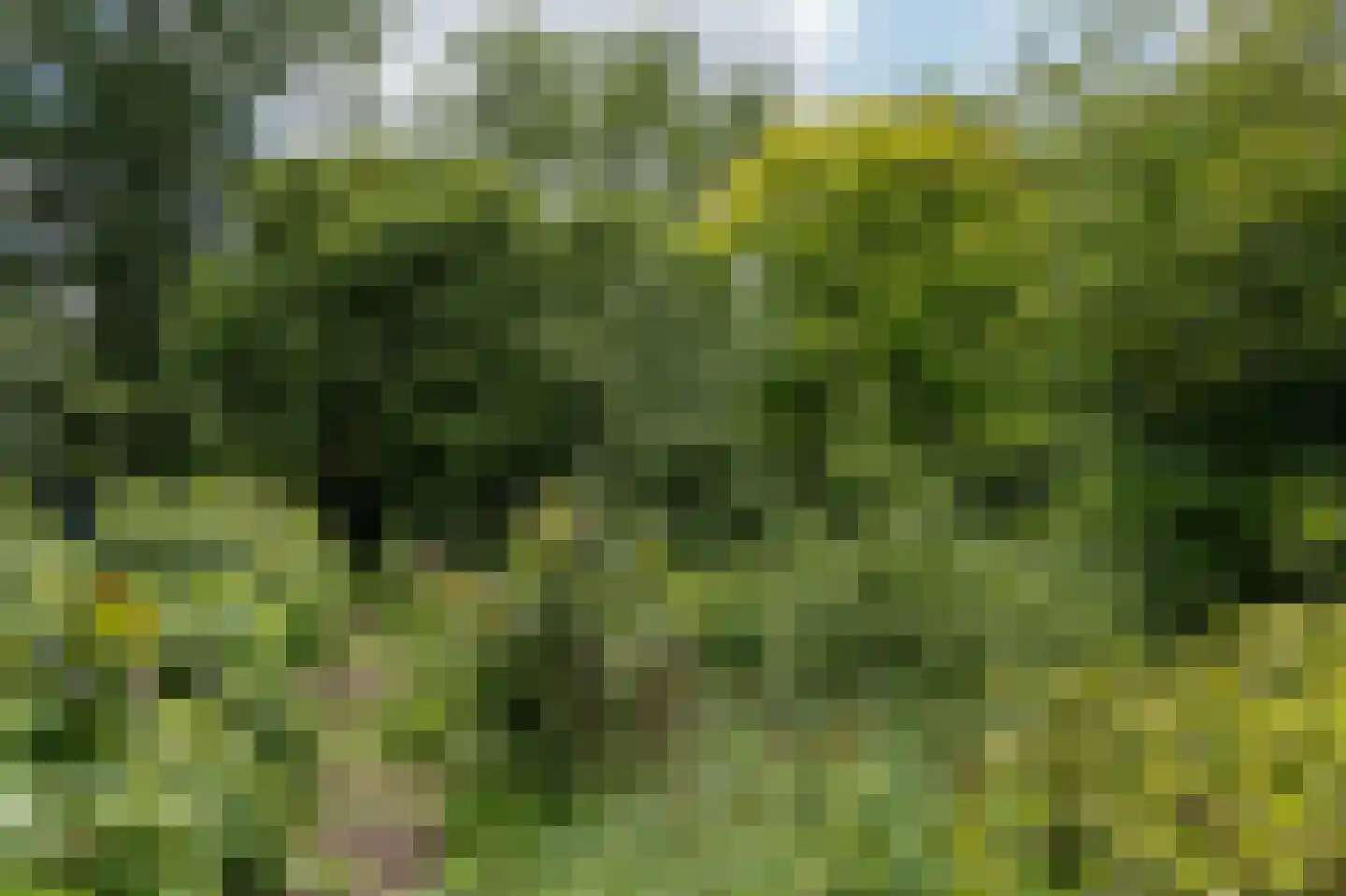 Lochterweg 154 Budel-Schoot thumbnail 62