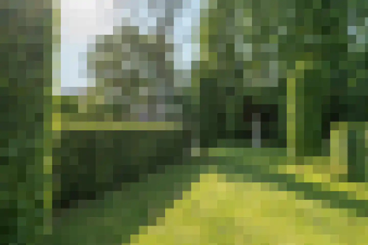 Lochterweg 31 Budel-Schoot thumbnail 46