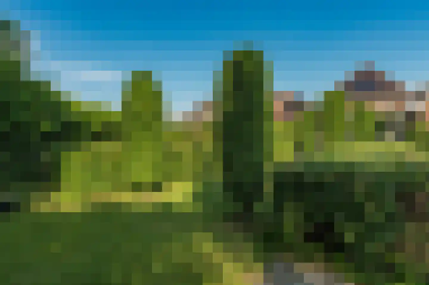 Lochterweg 31 Budel-Schoot thumbnail 52