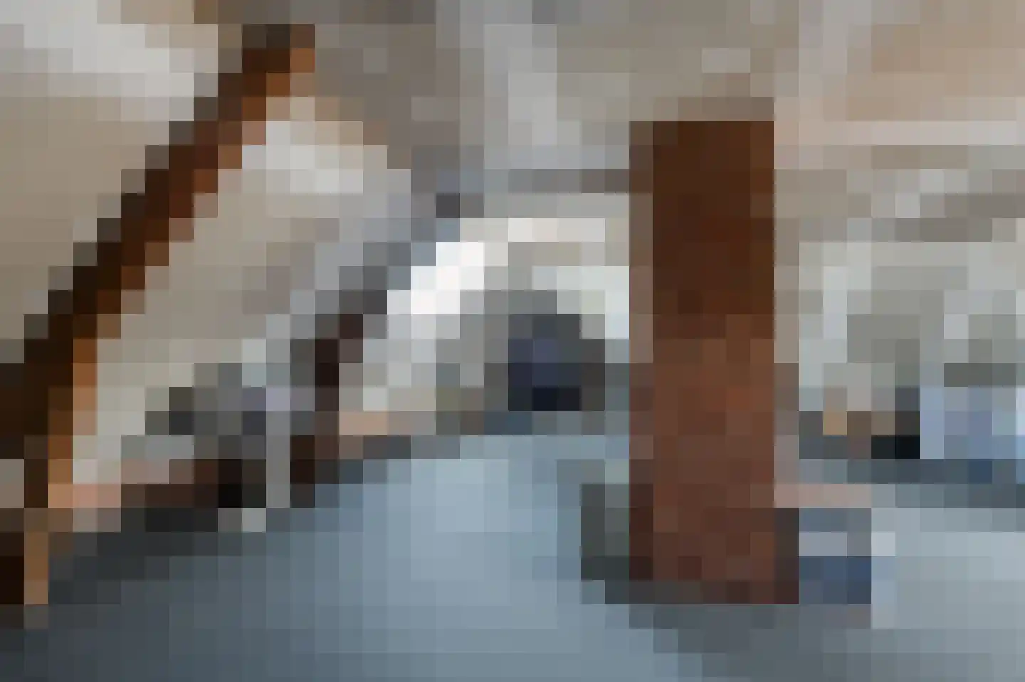 Lochterweg 31 Budel-Schoot thumbnail 75