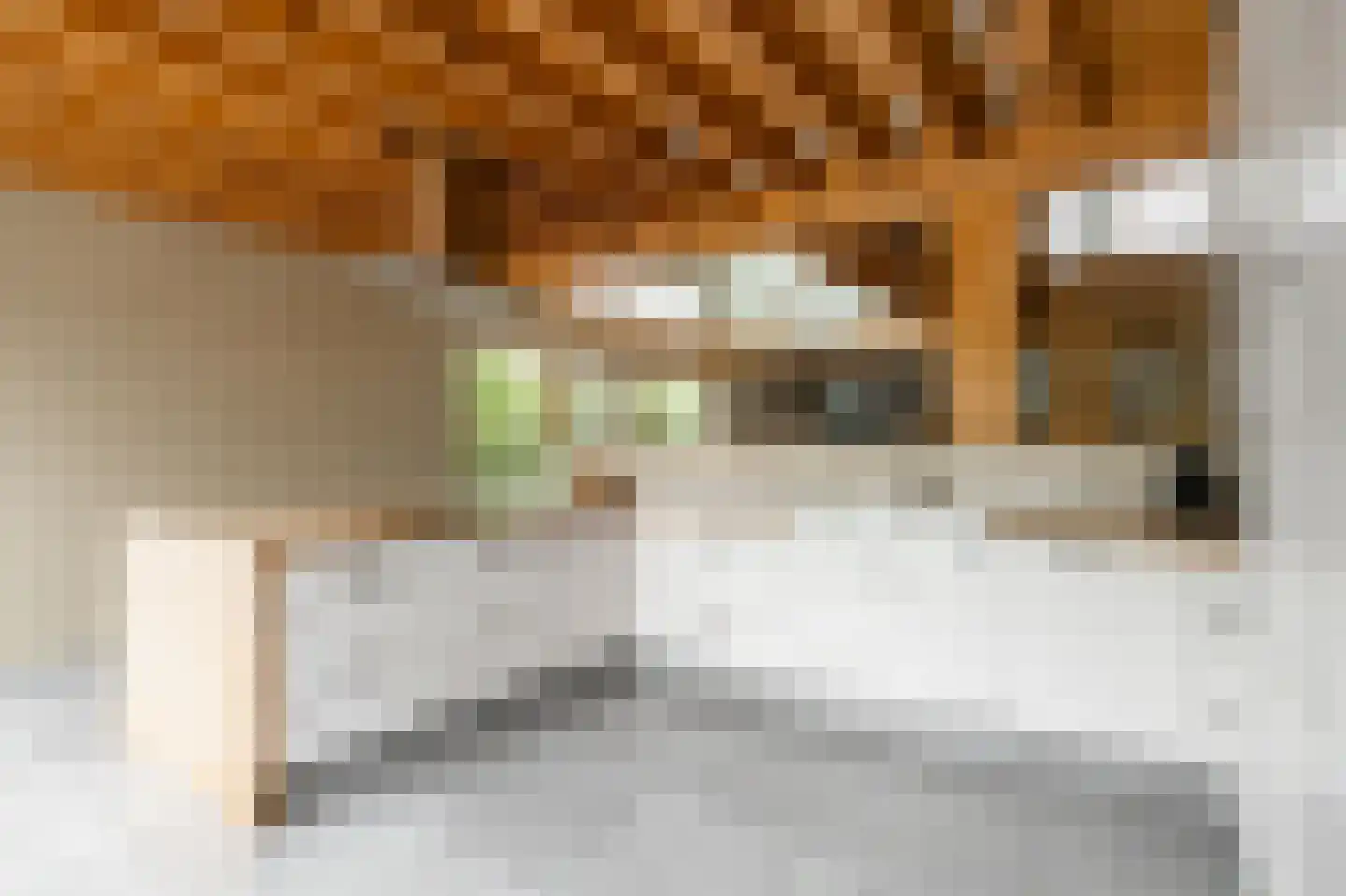 Lochterweg 8 Budel-Schoot thumbnail 10