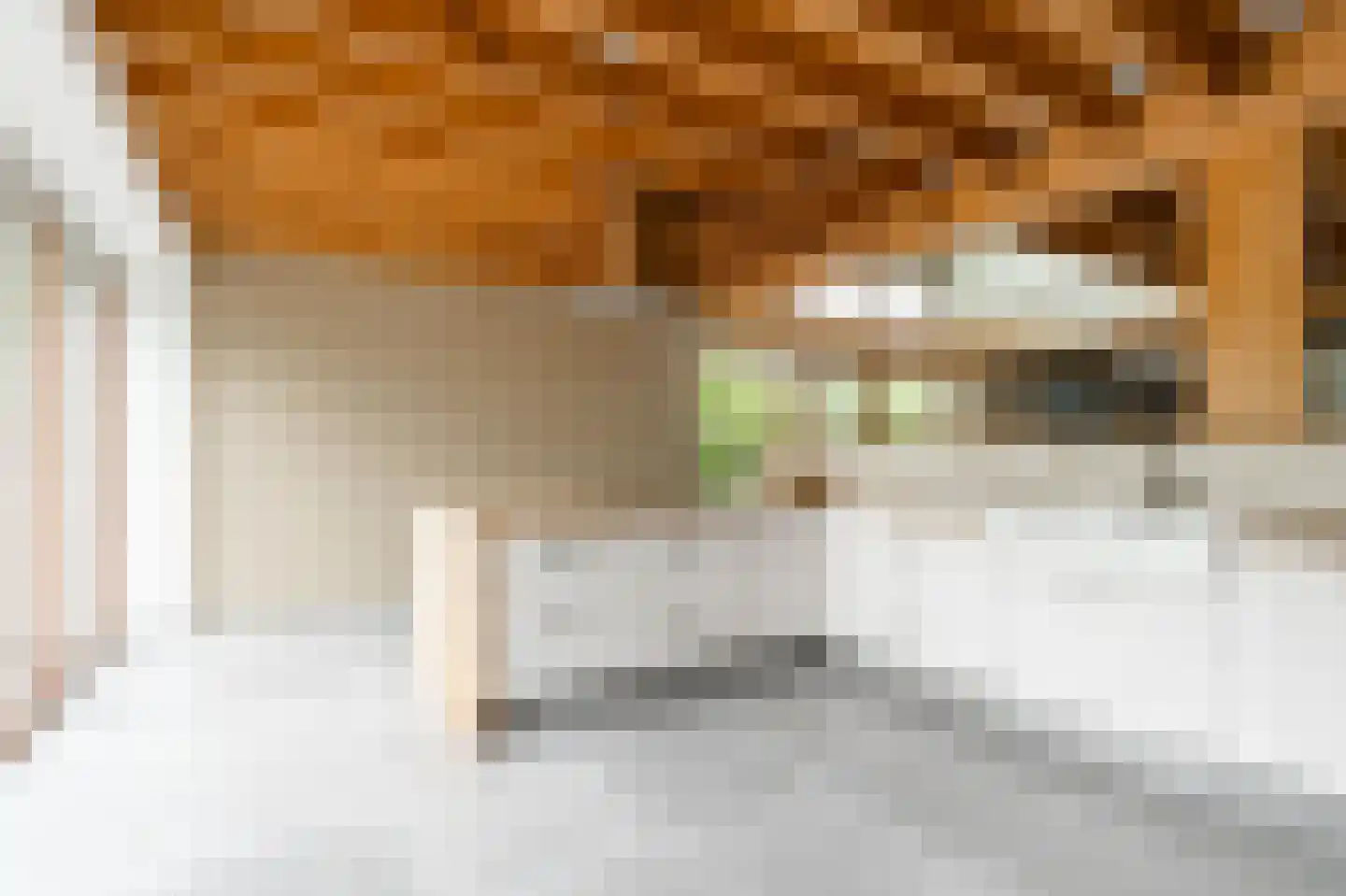 Lochterweg 8 Budel-Schoot thumbnail 11