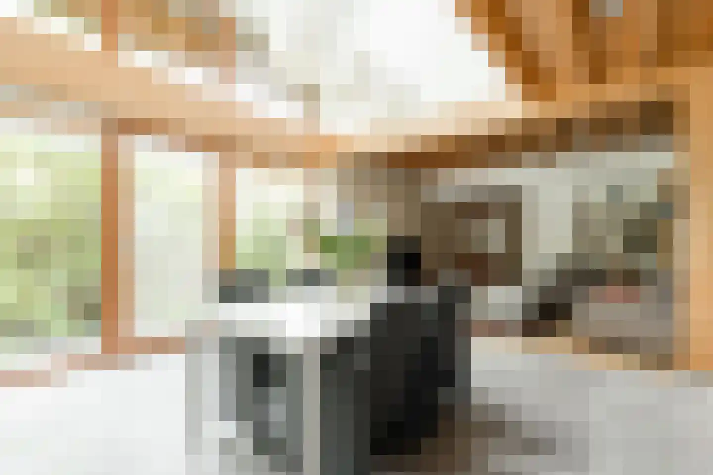 Lochterweg 8 Budel-Schoot thumbnail 18