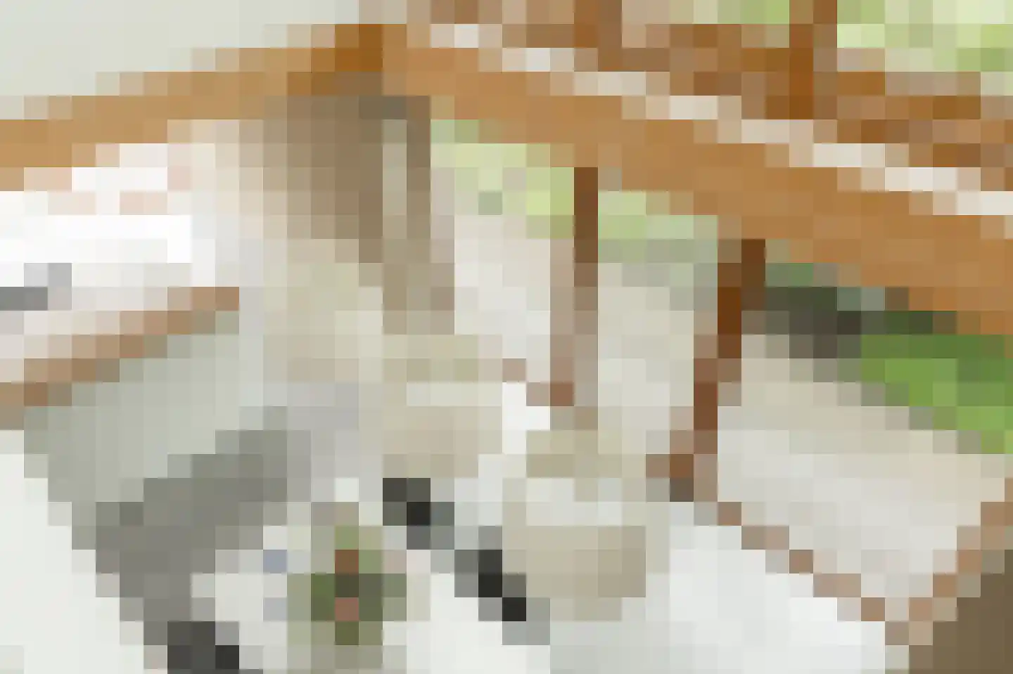 Lochterweg 8 Budel-Schoot thumbnail 34