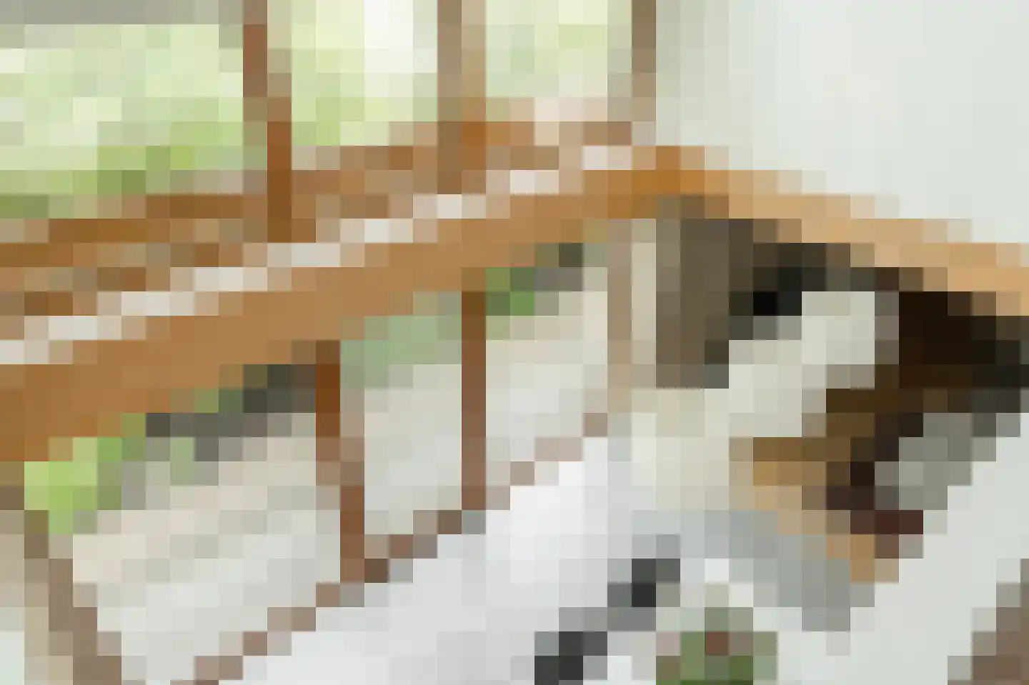 Lochterweg 8 Budel-Schoot thumbnail 35