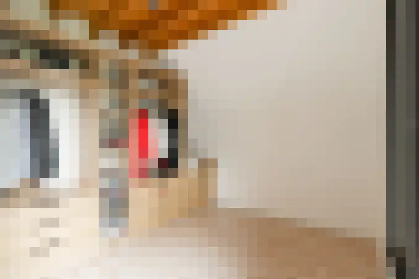 Lochterweg 8 Budel-Schoot thumbnail 38