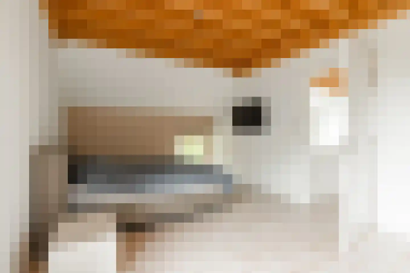 Lochterweg 8 Budel-Schoot thumbnail 40