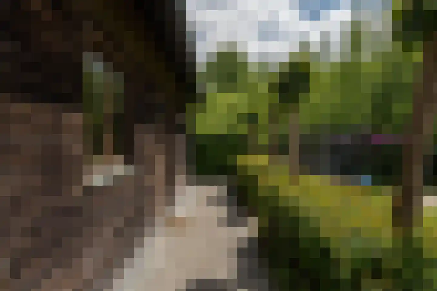 Lochterweg 8 Budel-Schoot thumbnail 47
