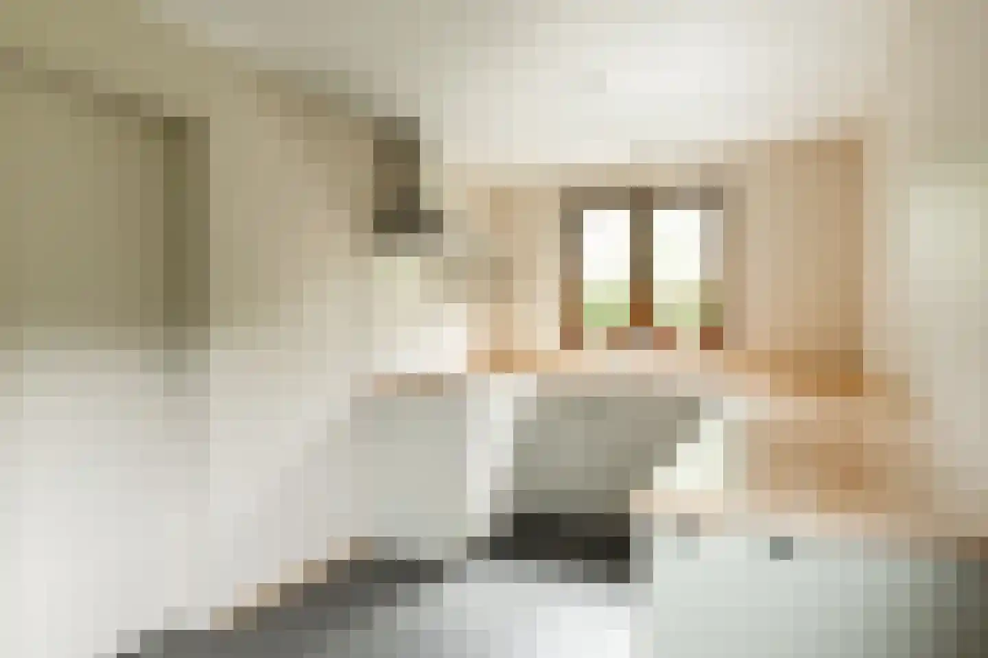Lochterweg 8 Budel-Schoot thumbnail 49