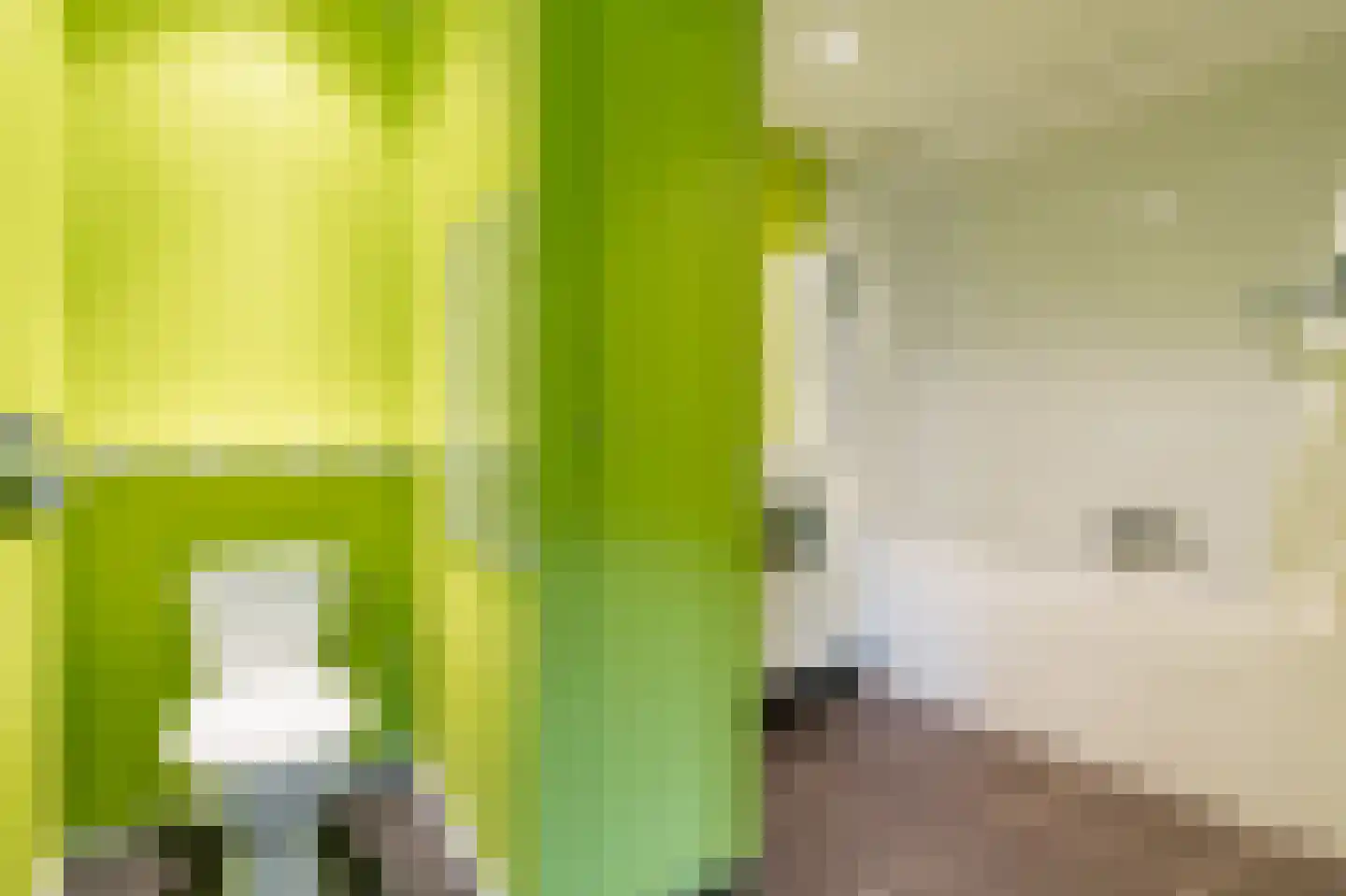 Lochterweg 8 Budel-Schoot thumbnail 50