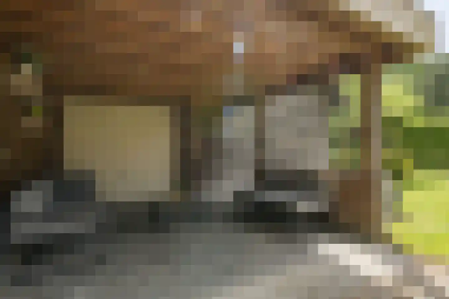Lochterweg 8 Budel-Schoot thumbnail 58