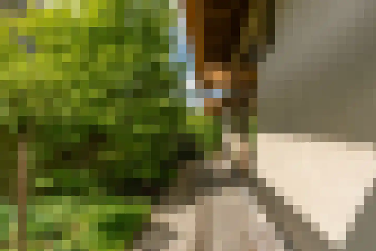 Lochterweg 8 Budel-Schoot thumbnail 63