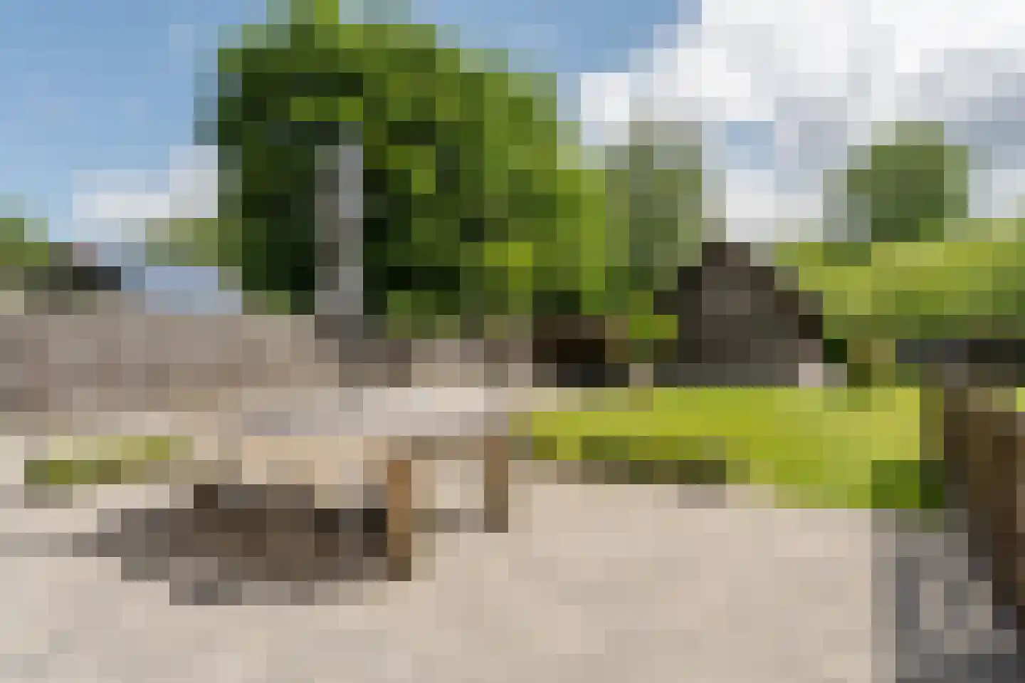 Lochterweg 8 Budel-Schoot thumbnail 66
