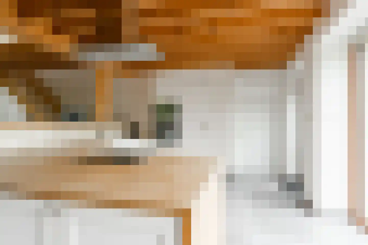 Lochterweg 8 Budel-Schoot thumbnail 7