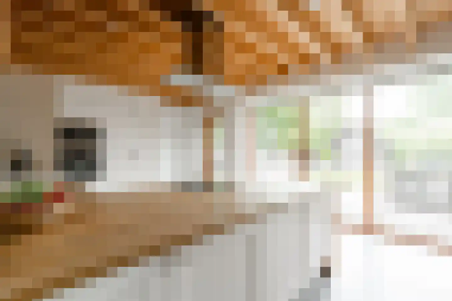 Lochterweg 8 Budel-Schoot thumbnail 9