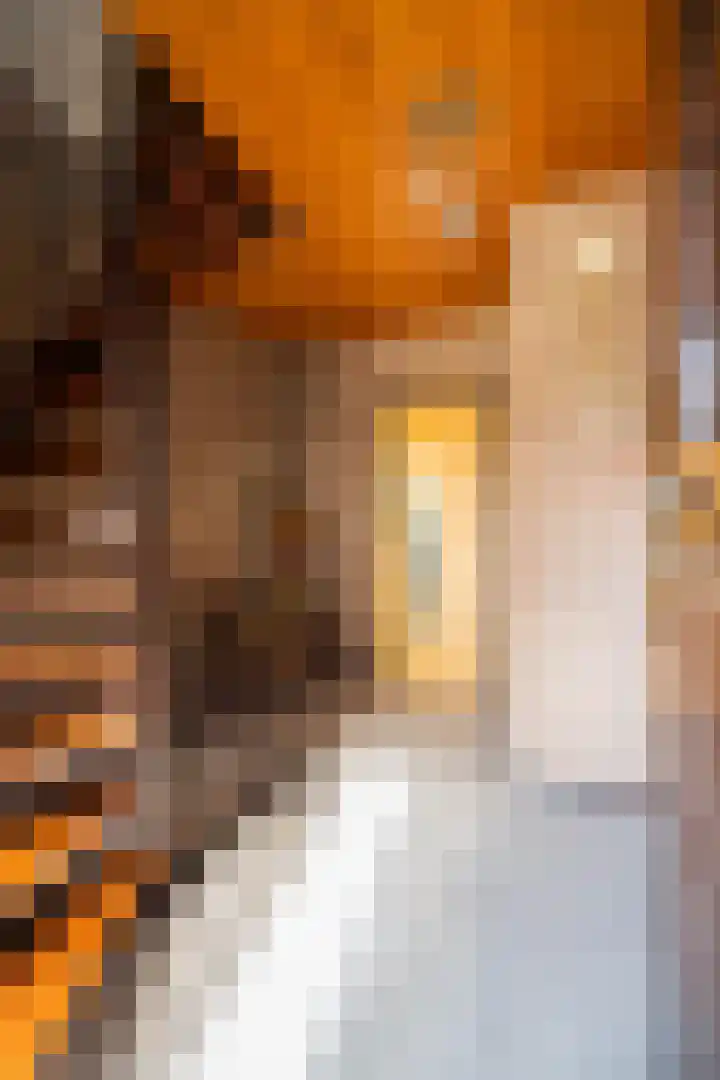 Lochtstraat 2 Ospel thumbnail 10