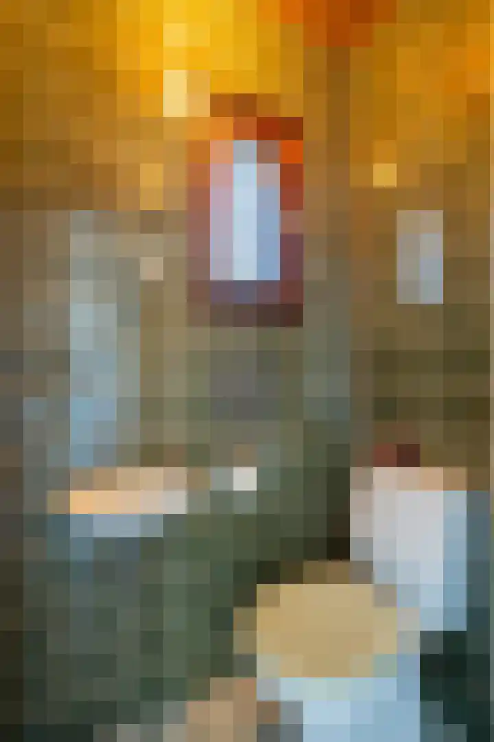 Lochtstraat 2 Ospel thumbnail 26