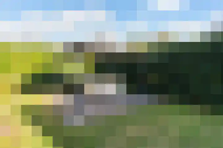 Lochtstraat 2 Ospel thumbnail 43