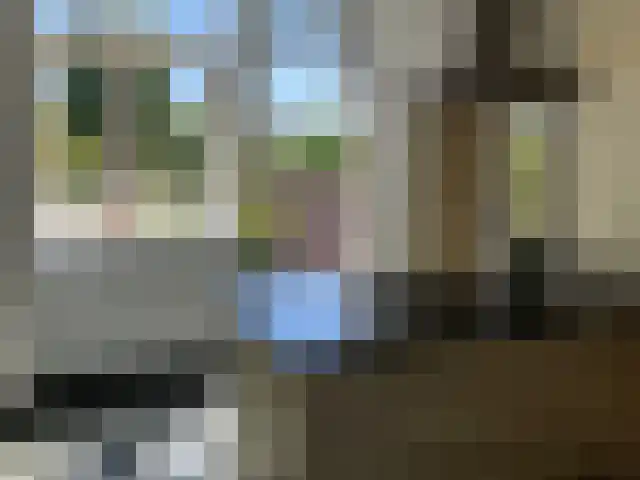 Lochtstraat 20 Stramproy thumbnail 25