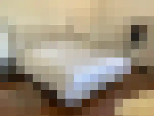 Lochtstraat 20 Stramproy thumbnail 35