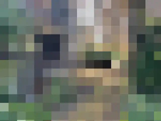 Lochtstraat 20 Stramproy thumbnail 47