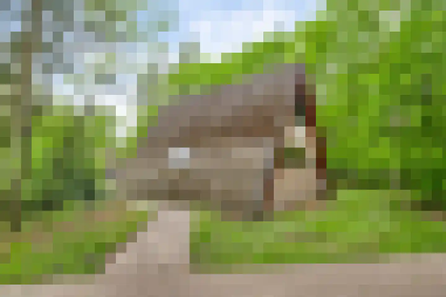 Lochtstraat 26 R 68 Stramproy thumbnail 19