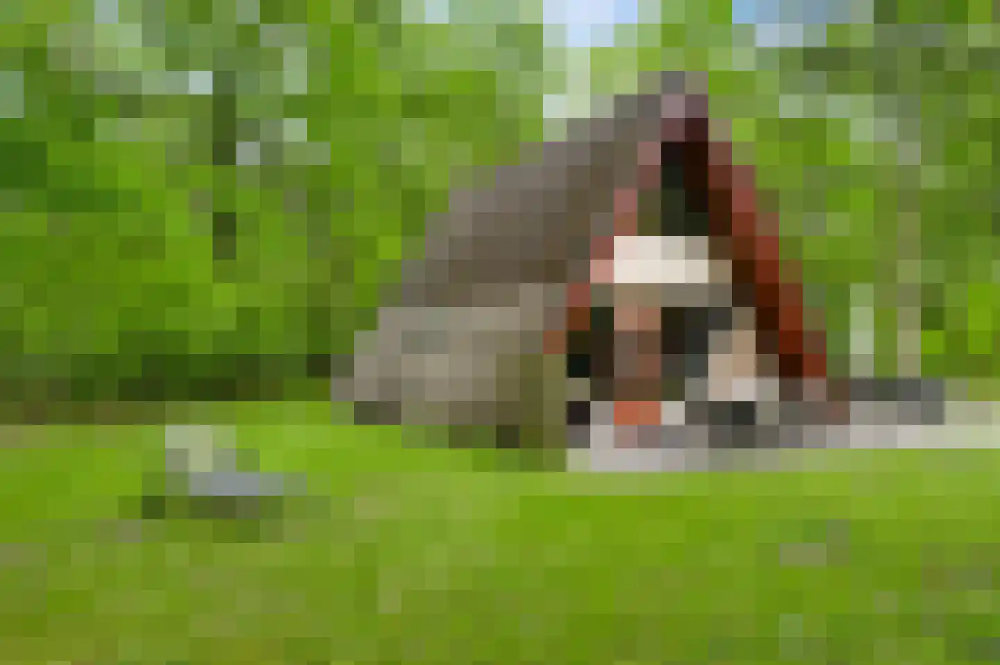 Lochtstraat 26 R 69 Stramproy thumbnail 17